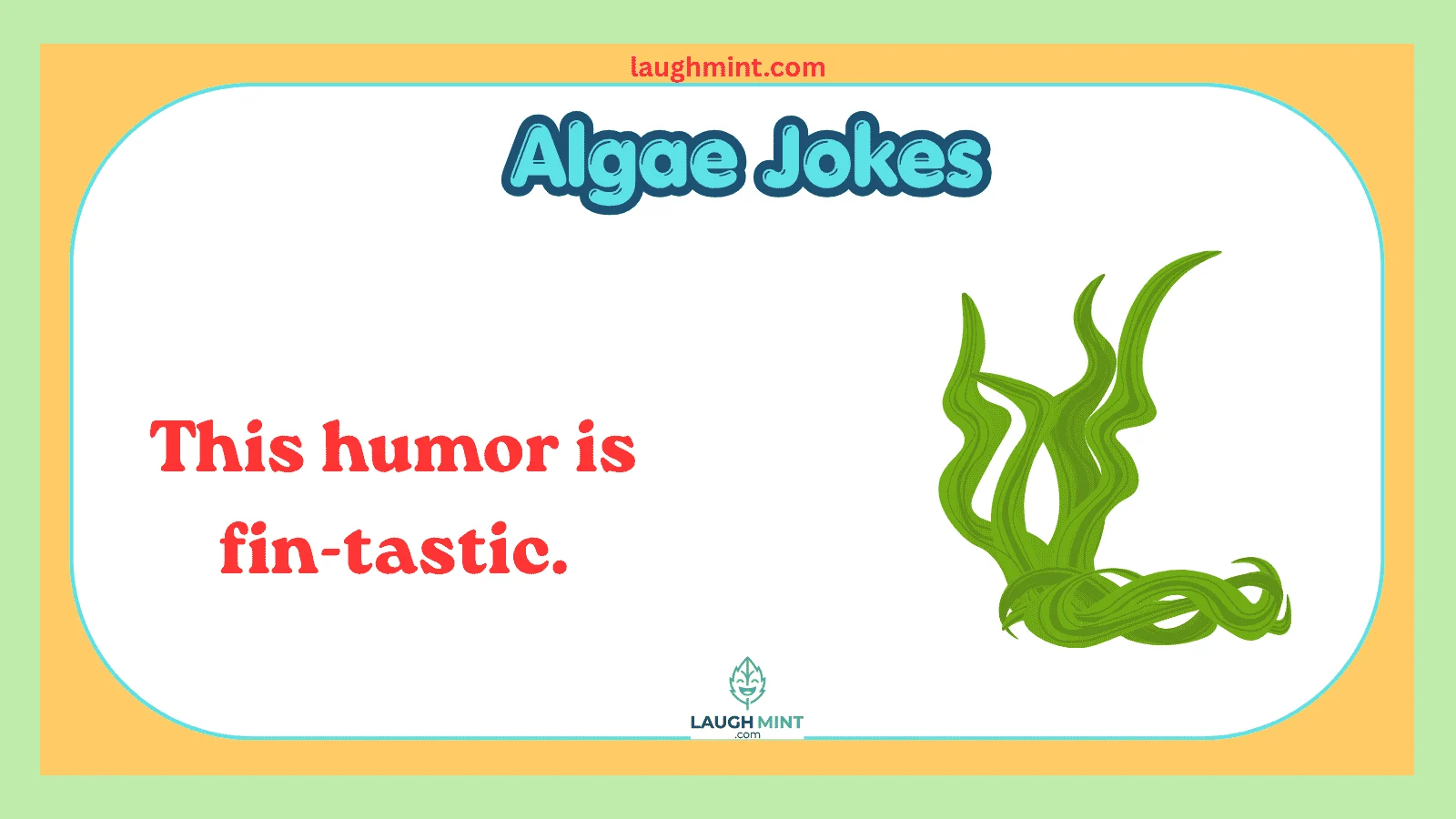 Algae Jokes