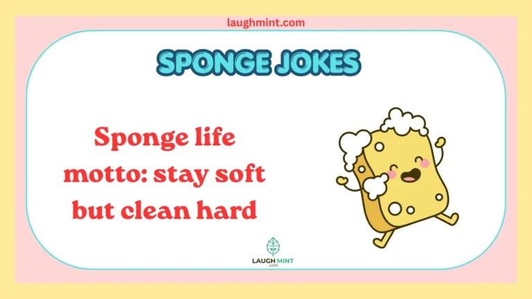 Sponge Jokes